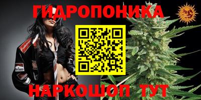 крисы Конаково