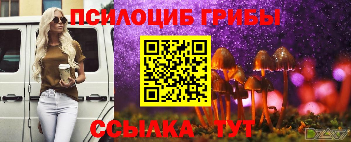 Псилоцибиновые грибы MAGIC MUSHROOMS  Вход с VPN  Елец 